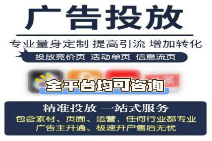网站sem托管服务提供商的成功案例分析